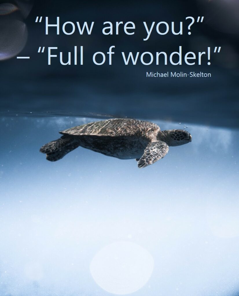 full of wonder