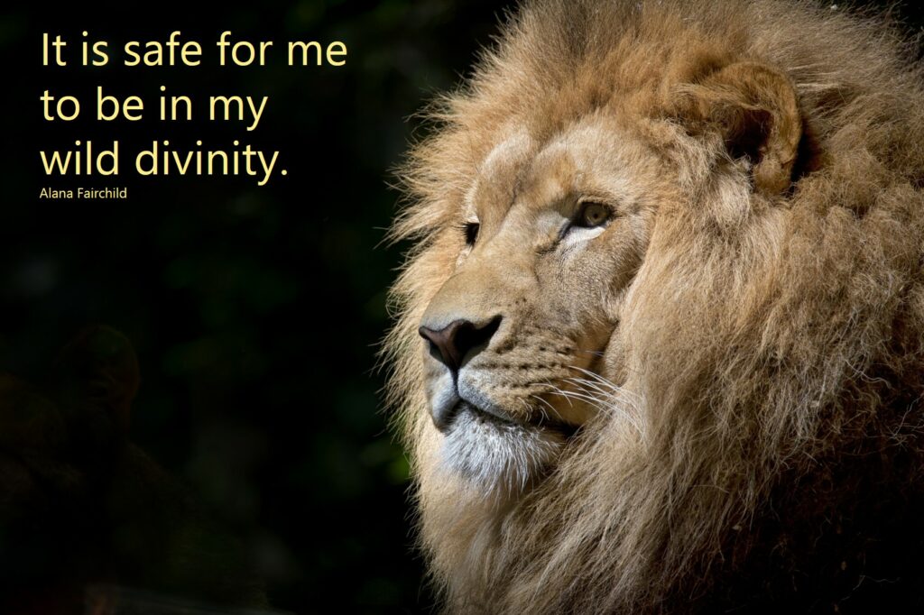 it is safe to be in my wild divinity